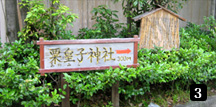 自然たっぷりのお庭