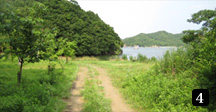 小道