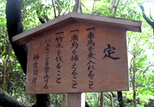 海の蝶の敷地内の粟皇子神社