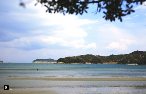 海の蝶自慢の池の浦シーサイドビーチ