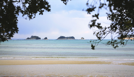 お子様も安心して遊べる池の浦シーサイドビーチ