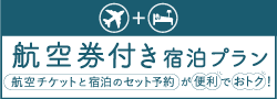 航空券付き宿泊プラン