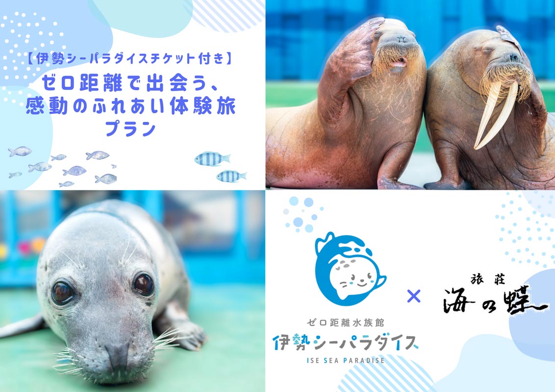 特別プラン販売中