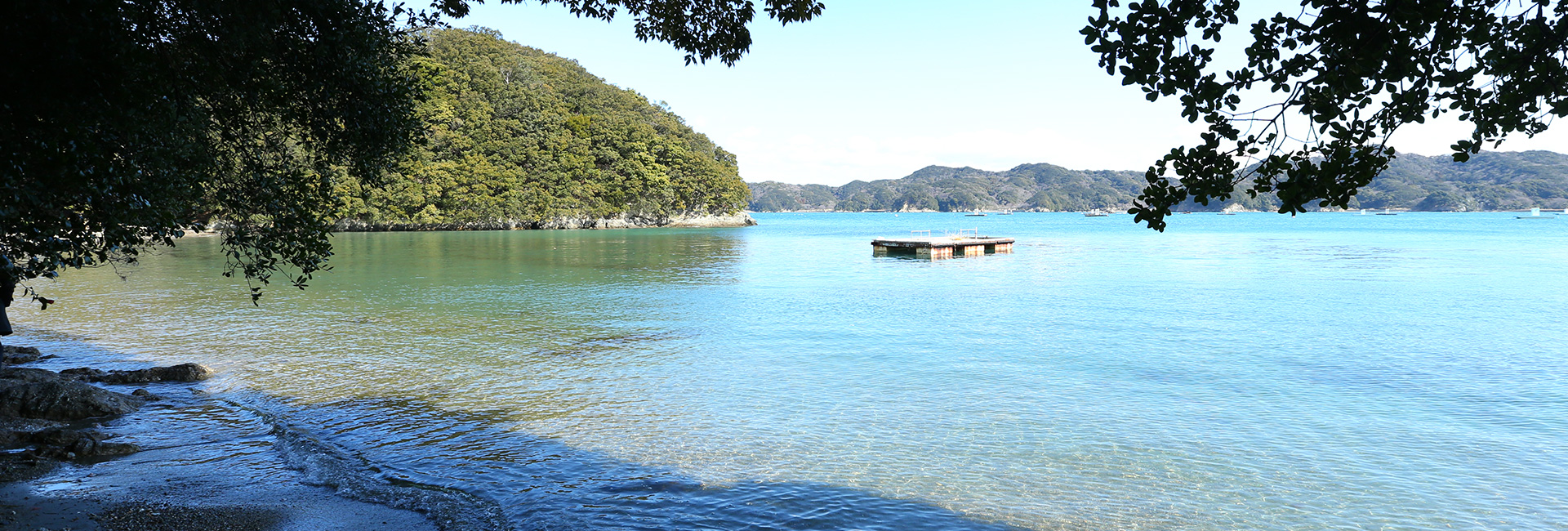 伊勢志摩鳥羽 旅館 「旅荘 海の蝶」