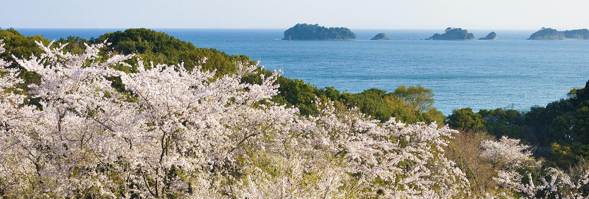 池の浦さくらの郷