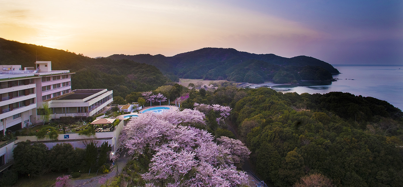 上質の美味とおもてなし。オーシャンビューの宿　旅荘　海の蝶