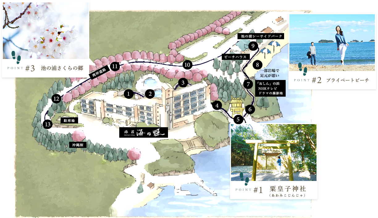 海の蝶散策マップ