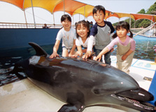 海豚島海洋樂園