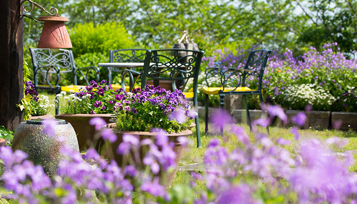 マダムガーデン